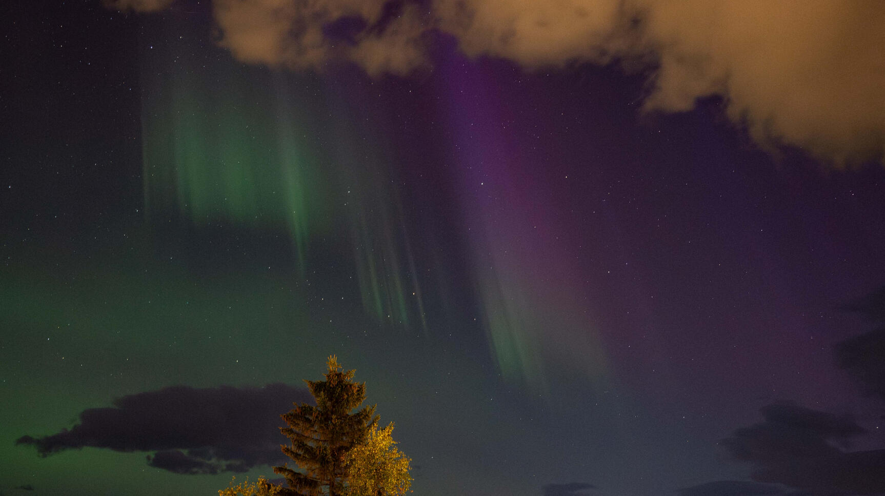 Nordlichter über Narvik (2024)